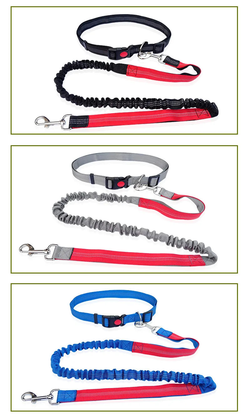 Hands Free Leash
