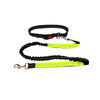 Hands Free Leash