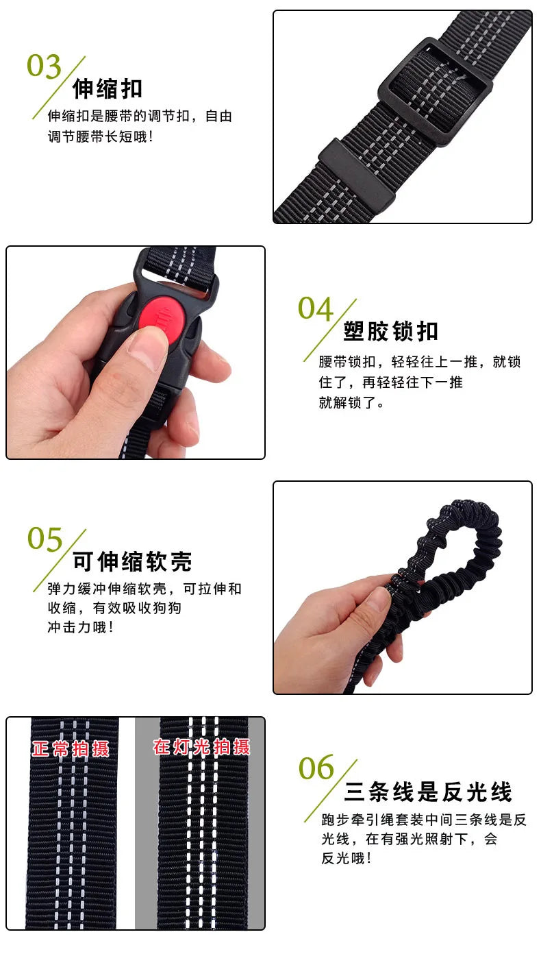 Hands Free Leash