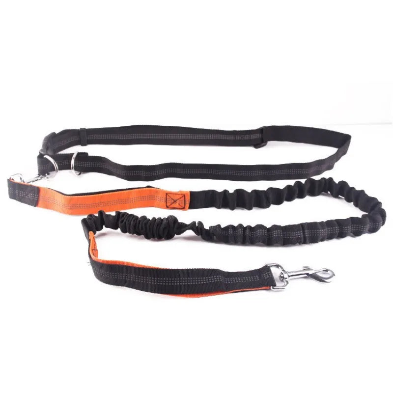 Hands Free Leash