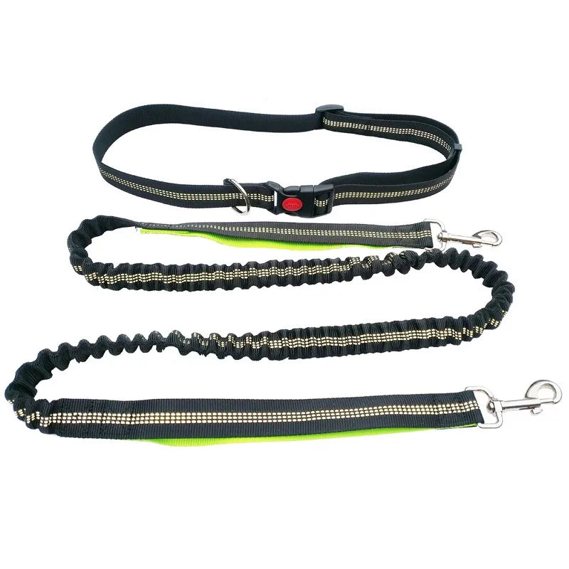 Hands Free Leash