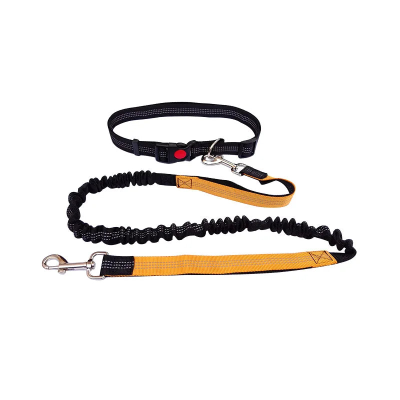 Hands Free Leash