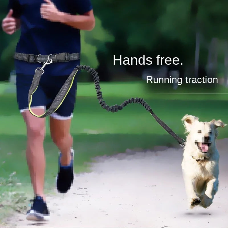 Hands Free Leash