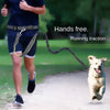 Hands Free Leash