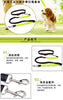 Hands Free Leash