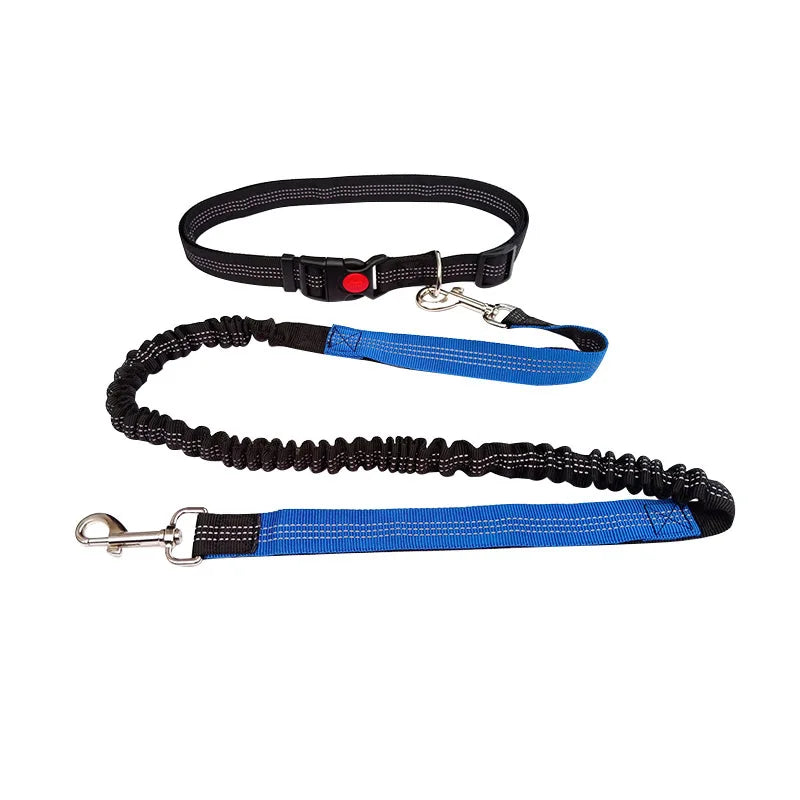 Hands Free Leash