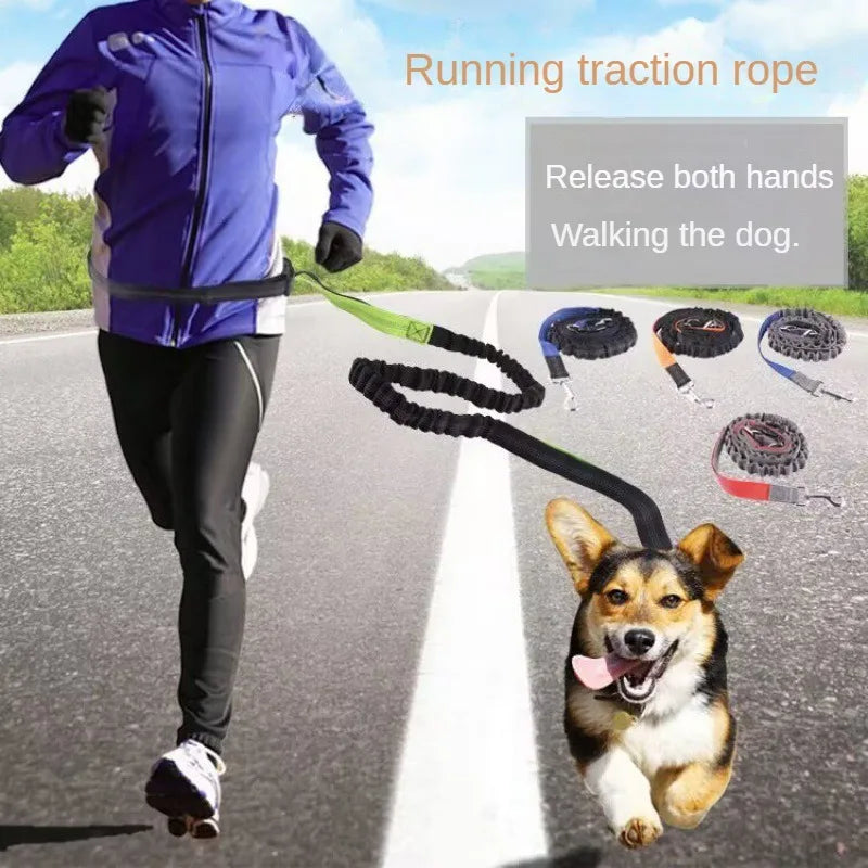 Hands Free Leash
